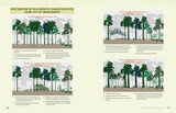 Tending Your Forest: A Guide to Ecological Forest Stewardship in the Eastern and Central United States by Paul Catanzaro & Anthony D'Amato