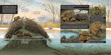 What Goes on Inside a Beaver Pond? by Becky Cushing Gop
