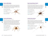 My Awesome Field Guide to Bugs: Find and Identify Your Crawling and Flying Bugs