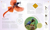 The Bird Book: The Stories, Science, and History of Birds (DK)