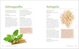 The Big Book of Herbal Medicine: 300 Natural Remedies for Health and Wellness by Tina Sams