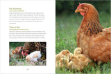 How to Read a Chicken's Mind: Understand How Chickens Learn, Perceive People, Express Emotions, and Pass Down Knowledge