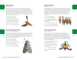 My Awesome Field Guide to Bugs: Find and Identify Your Crawling and Flying Bugs