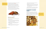 Beekeeping for Beginners: How to Raise Your First Bee Colonies by Amber Bradshaw