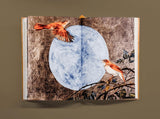 The Book of Birds: A Field Guide to Wonder and Loss by Robert MacFarlane & Jackie Morris