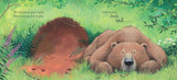 Bear Feels Sad (Bear Books) by Karma Wilson