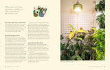 More Than Just a Plant: How to Care for Your Plants as They Care for You by Krystal Duran