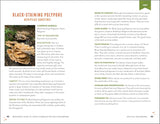 Beginner's Guide to Safely Foraging for Wild Mushrooms: Identifying and Collecting Mushrooms Sustainably with Confidence by Karen Stephenson