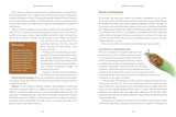 The Naturalist at Home: Projects for Discovering the Hidden World Around Us