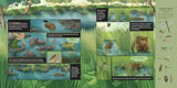 What Goes on Inside a Beaver Pond? by Becky Cushing Gop