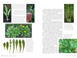 Edible Wild Plants, Volume 2: Wild Foods from Foraging to Feasting by John Kallas, PHD
