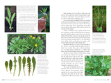 Edible Wild Plants, Volume 2: Wild Foods from Foraging to Feasting by John Kallas, PHD