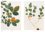 Capturing Nature: 150 Years of Nature Printing by Matthew Zucker & Pia Ostlund