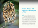 Nature at Night: Discover the Hidden World That Comes Alive After Dark by Charles Hood