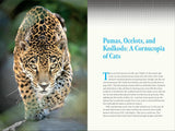 Nature at Night: Discover the Hidden World That Comes Alive After Dark by Charles Hood
