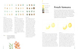 Watercolor Made Simple Workbook