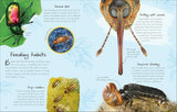 An Anthology of Beetles: A Collection of Brilliant Beetles from Around the World (DK Little Anthologies) by Richard Jones