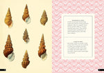 The Little Book of Shells: A Guide to Shells and the Amazing Creatures Who Make Them (Little Library of Natural History #5)