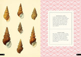 The Little Book of Shells: A Guide to Shells and the Amazing Creatures Who Make Them (Little Library of Natural History #5)