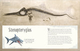 Dinosaurs and Other Prehistoric Life (DK Children's Anthologies)