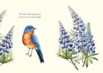 A Blessing for Spring's Child by Peter Hinckley