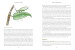 The Naturalist at Home: Projects for Discovering the Hidden World Around Us