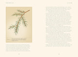 Forty Ways to Know a Tree: Exploring Trees to Understand Nature by Joan Maloof