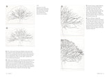 How to Draw a Tree: From the Fruit to the Forest: A Step-By-Step Course for the Nature Artist by Alex Boon