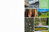 Cut & Collage National Parks: Beautiful Images of America's Natural Wonders