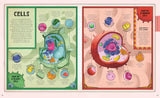 Explore: A Collection of Maps and Diagrams That Explain the World (DK)