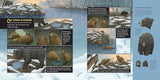 What Goes on Inside a Beaver Pond? by Becky Cushing Gop