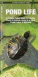 Pond Life: A Folding Pocket Guide to Familiar Plants and Animals Living in or Near Ponds, Lakes and Wetlands