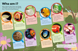 Eyewonder Bugs: Open Your Eyes to a World of Discovery (Eye Wonder)