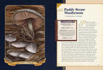 The Little Book of Mushrooms: An Illustrated Guide to the Extraordinary Power of Mushrooms