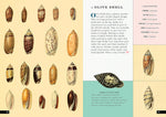 The Little Book of Shells: A Guide to Shells and the Amazing Creatures Who Make Them (Little Library of Natural History #5)