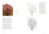 How to Draw a Tree: From the Fruit to the Forest: A Step-By-Step Course for the Nature Artist by Alex Boon