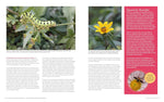 American Horticultural Society Essential Guide to Perennial Gardening: Techniques and Know-How for Planning, Planting, and Tending Low-Maintenance Perennials
