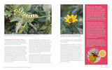 American Horticultural Society Essential Guide to Perennial Gardening: Techniques and Know-How for Planning, Planting, and Tending Low-Maintenance Perennials