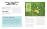 Raising Ducks for Beginners and Beyond: The Guide to Breeds, Ponds, Nutrition, and All Things Duck by Kristine Ellis