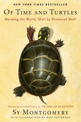 Of Time and Turtles: Mending the World, Shell by Shattered Shell by Sy Montgomery