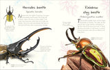 An Anthology of Beetles: A Collection of Brilliant Beetles from Around the World (DK Little Anthologies) by Richard Jones
