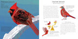 Light as a Feather: Fifteen Phenomenal North American Birds by Will Hillenbrand