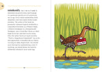 The Birding Dictionary by Rosemary Mosco