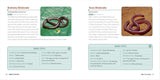 Snakes for Kids: A Junior Scientist's Guide to Venom, Scales, and Life in the Wild (Junior Scientists) : A Junior Scientist's Guide to Venom, Scales, and Life in the Wild (Junior Scientists) by Michael G. Starkey