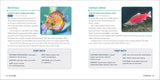 Fish for Kids: A Junior Scientist's Guide to Diverse Habitats, Colorful Species, and Life Underwater (Junior Scientists) by Kevin Kurtz, MA