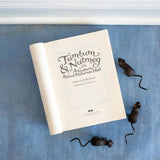 Tumtum & Nutmeg: Adventures Beyond Nutmouse Hall (Tumtum & Nutmeg #1) by Emily Bearn