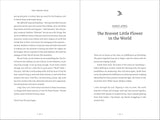 The Forest Year: Finding Hope in a World Worth Saving by Ethan Tapper