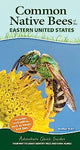 Common Native Bees of the Eastern United States: Your Way to Easily Identify Bees and Look-Alikes (Adventure Quick Guides)