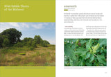 Midwest Foraging: 115 Wild and Flavorful Edibles from Burdock to Wild Peach by Lisa M Rose