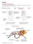 How to Draw Animals: A Visual Reference Guide to Sketching 100 Animals Including Popular Dog and Cat Breeds!